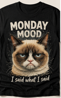Monday Mood — I Said What I Said Cat T-Shirt